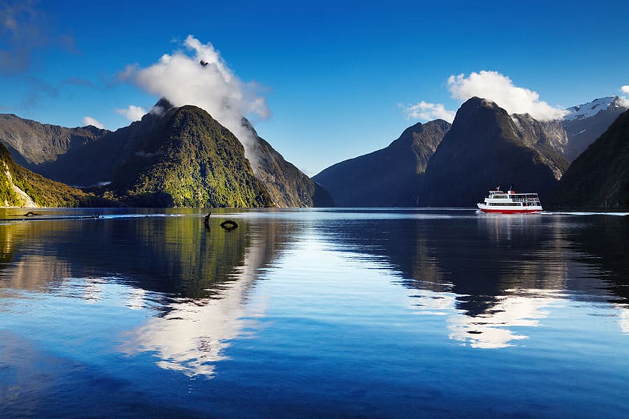 Australia New Zealand Cruise Good Neighbor Club Milford Sound