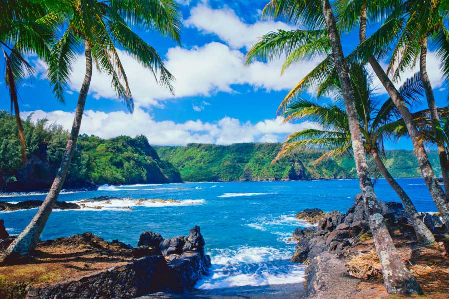 Good Neighbor Club Hawaii Cruise January 2026
