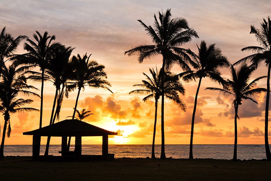Good Neighbor Club Hawaii Kauai Sunset Cruise January 2026