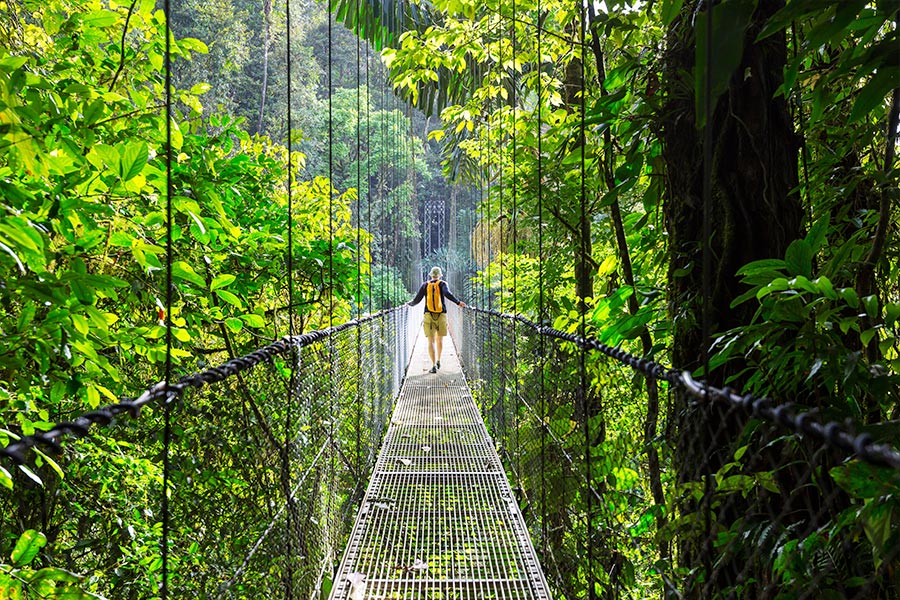 Costa Rica Mistico Nature Park